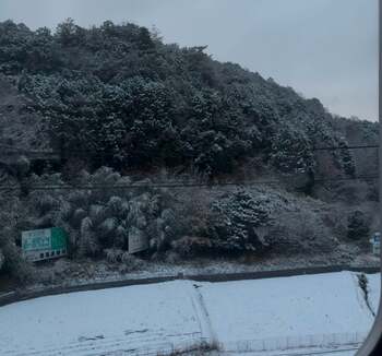 o1080100915534541285　植え1.jpg